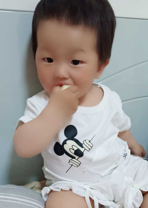 模特-