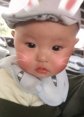 模特-