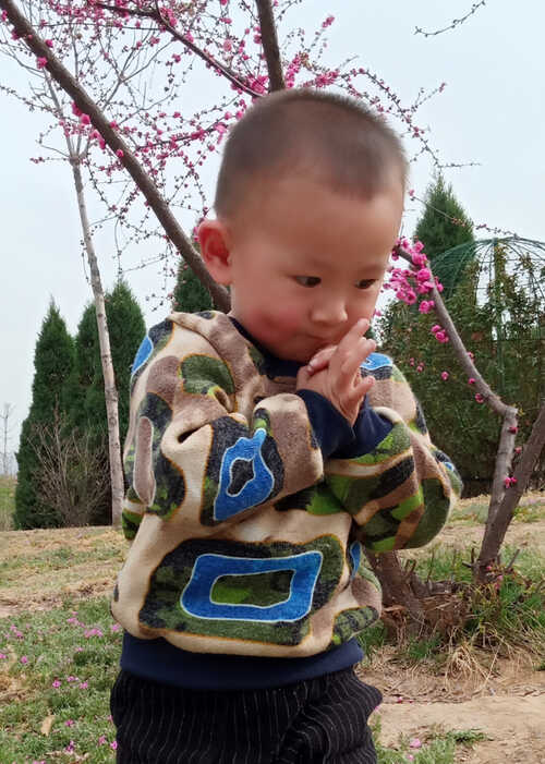 模特-