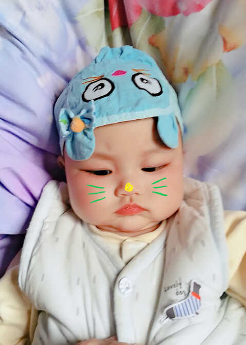 模特-
