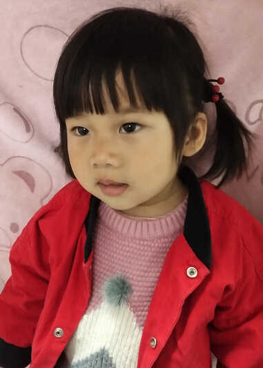 模特-