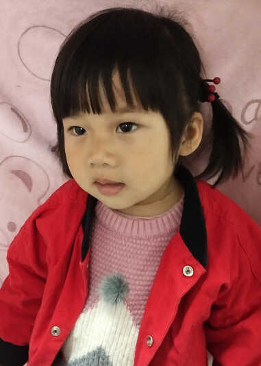 模特-
