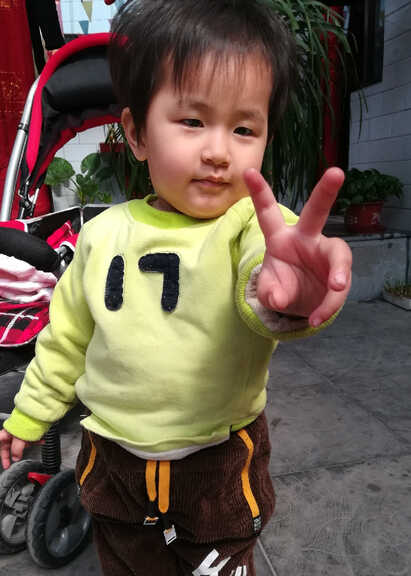 模特-