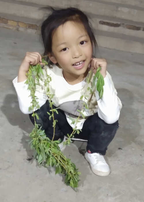 模特-