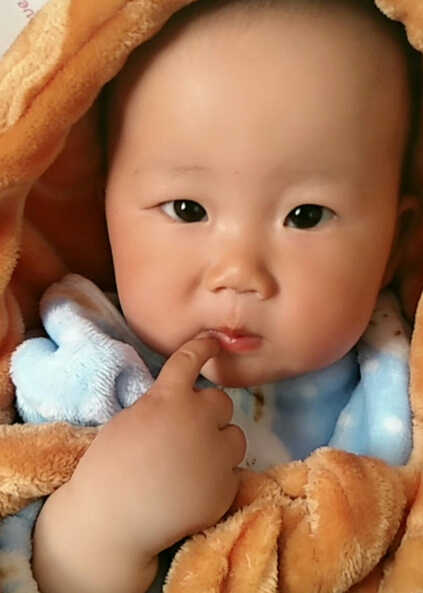 模特-