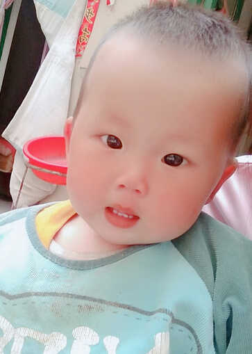 模特-
