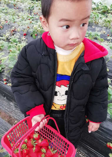 模特-
