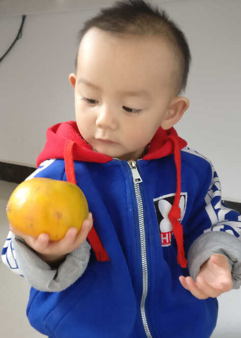 模特-