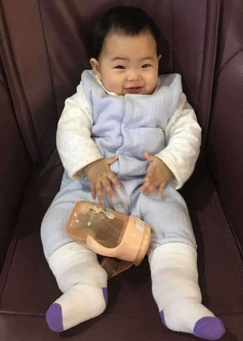 模特-