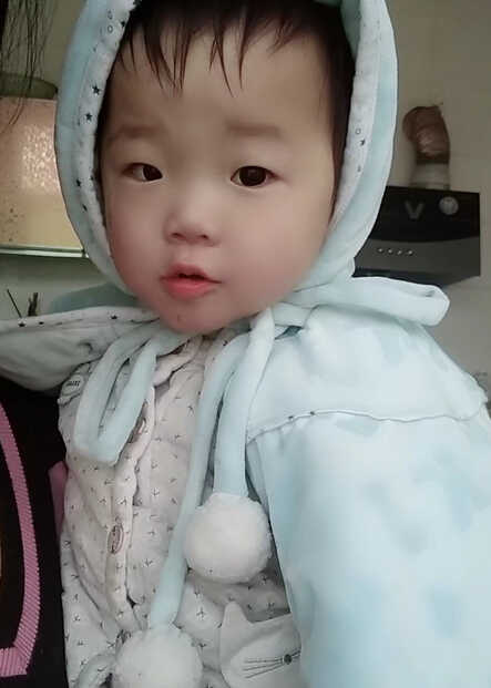 模特-