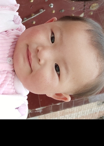 模特-