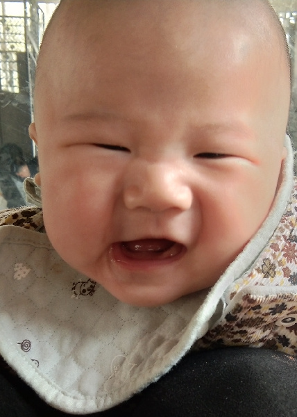模特-