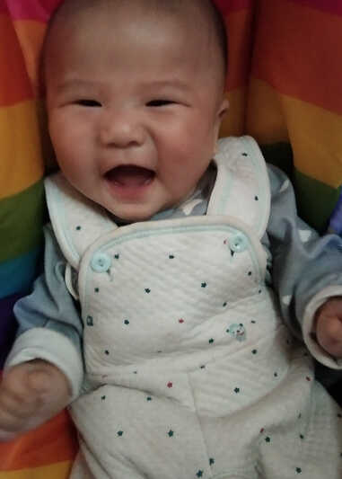 模特-