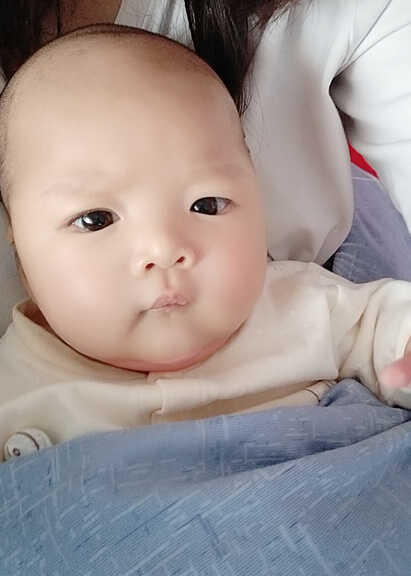 模特-