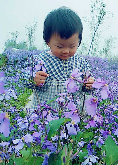 模特-