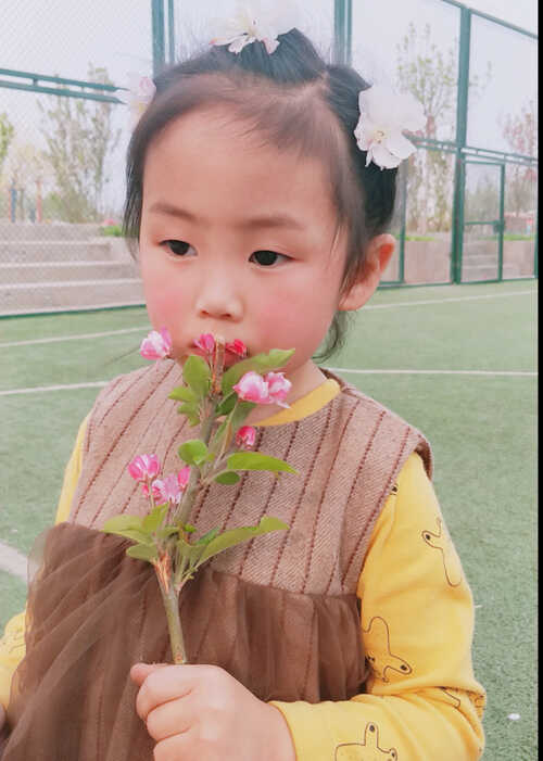 模特-