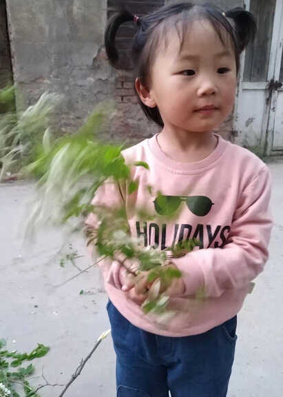 模特-