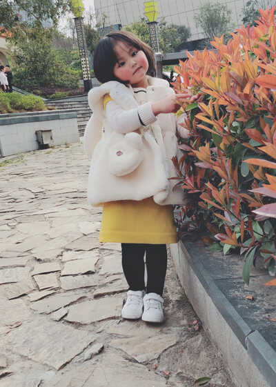 模特-