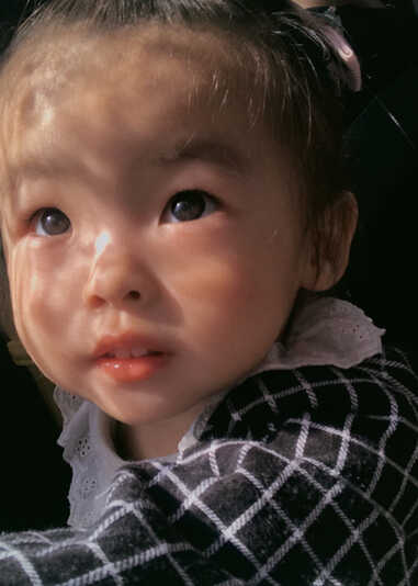 模特-