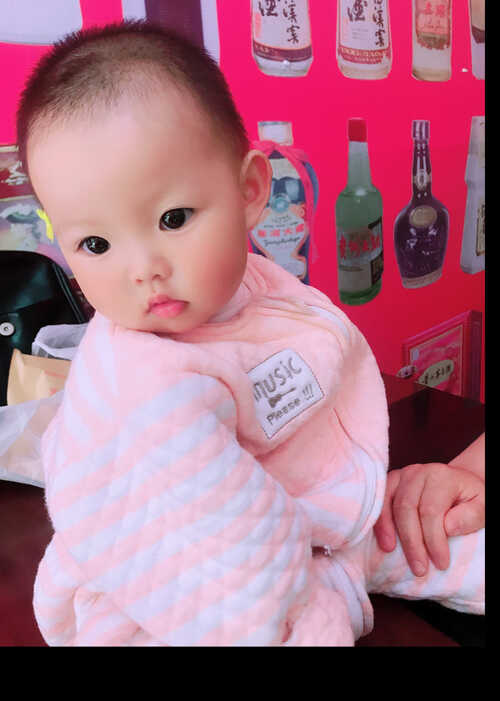 模特-