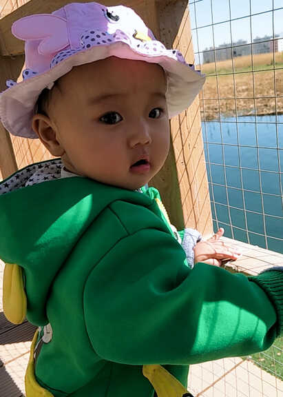 模特-