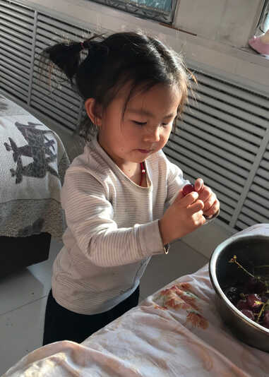 模特-