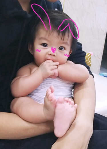 模特-