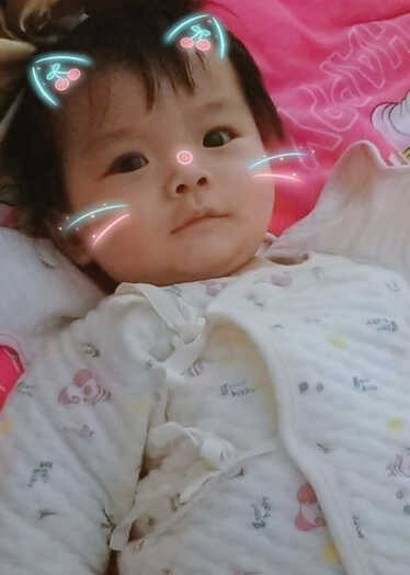 模特-