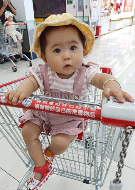 模特-