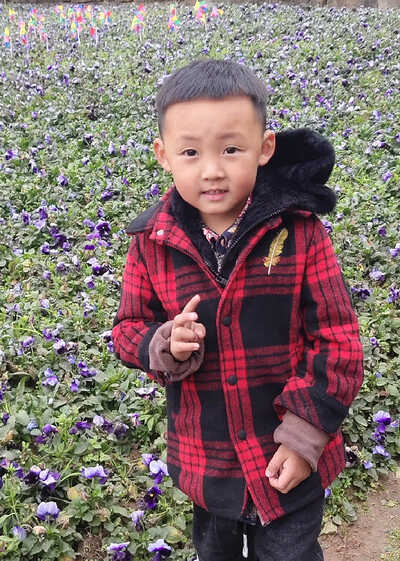 模特-