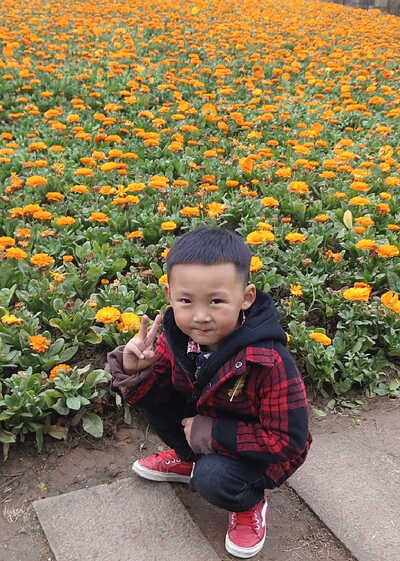 模特-