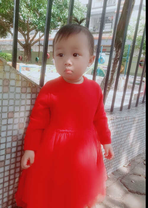 模特-