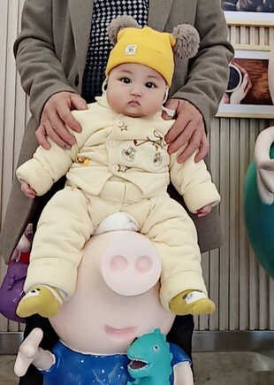 模特-