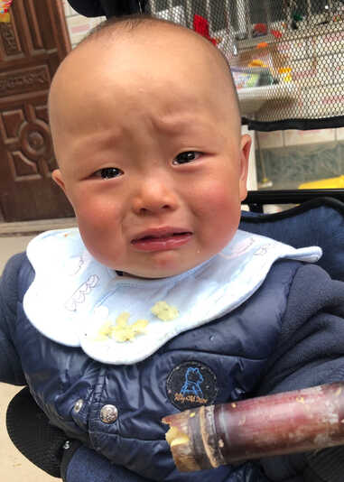 模特-