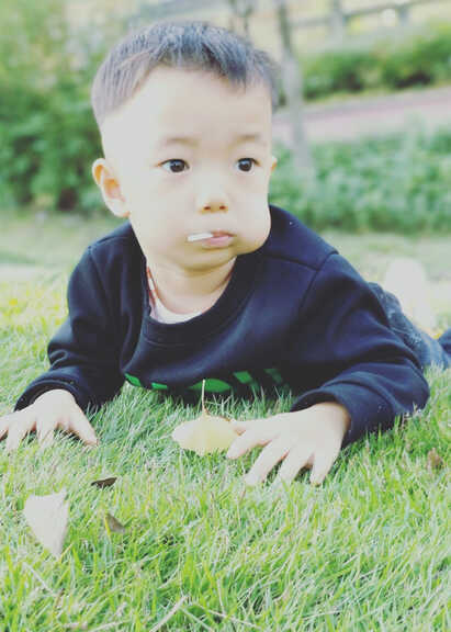 模特-