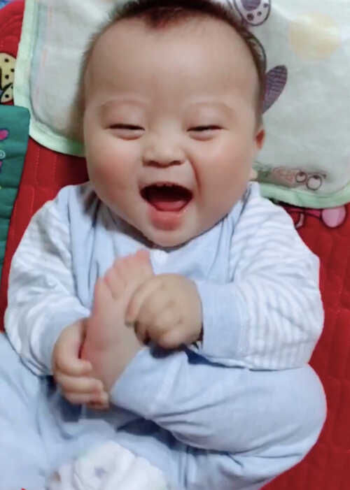 模特-