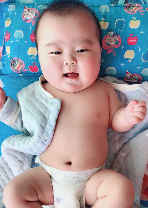 模特-