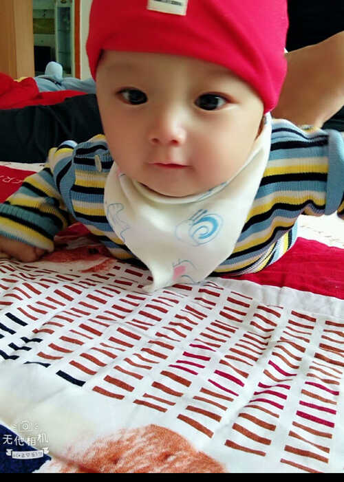模特-