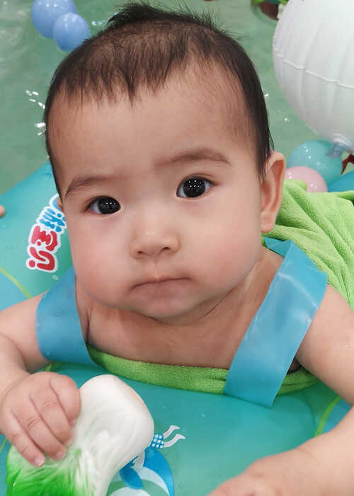 模特-