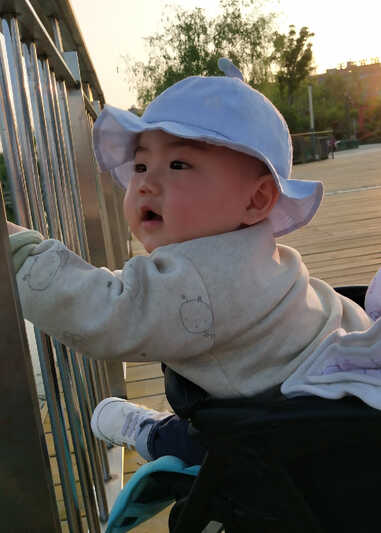 模特-