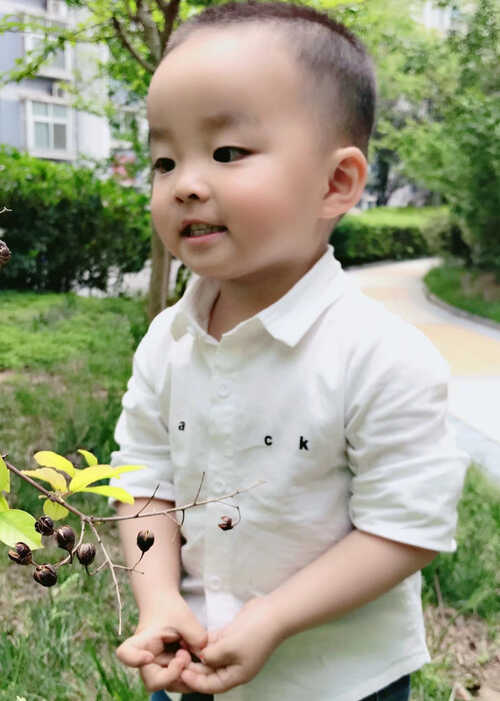 模特-