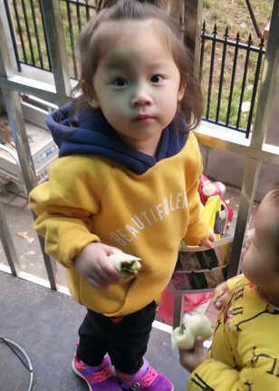模特-
