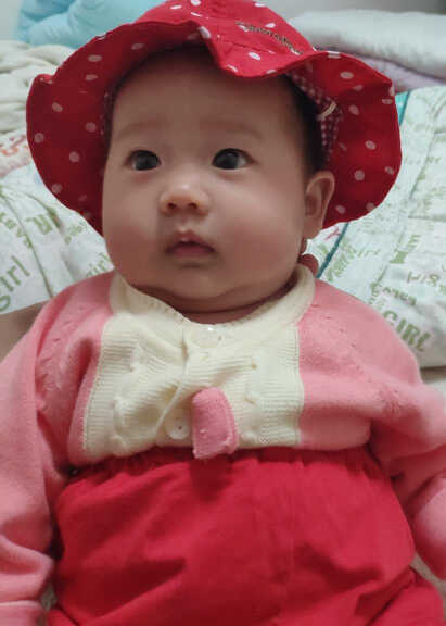 模特-