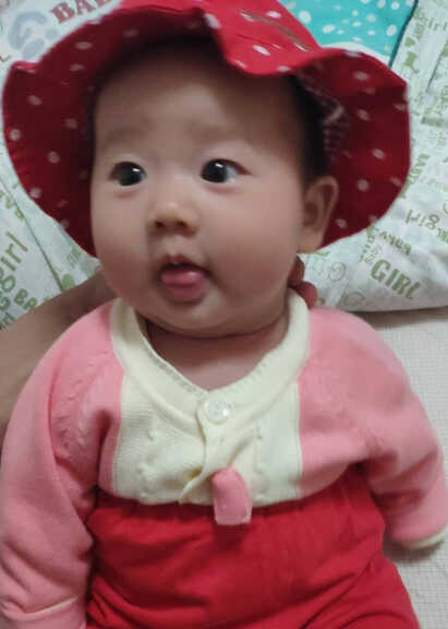模特-