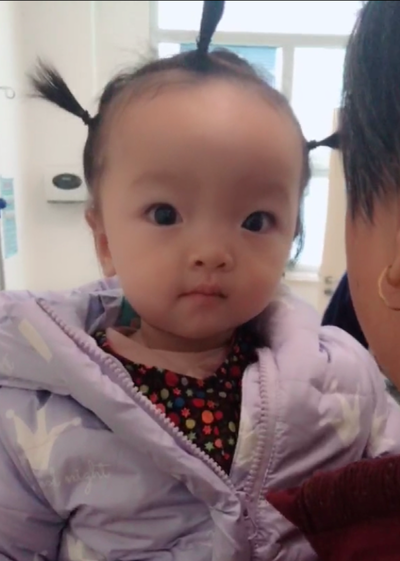模特-