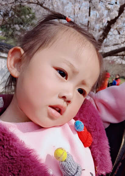 模特-