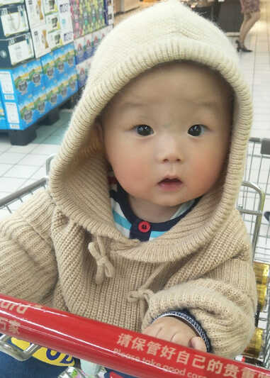 模特-