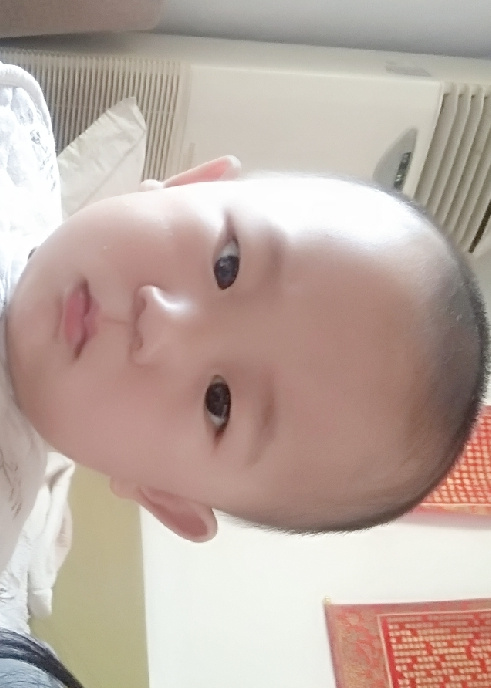 模特-