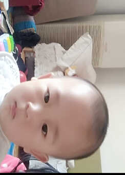 模特-