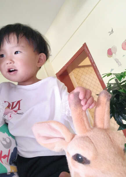 模特-